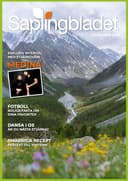 Saplingbladet December 2023 PDF