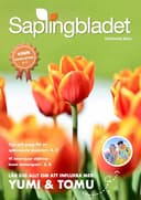 Saplingbladet Sommar 2024 PDF