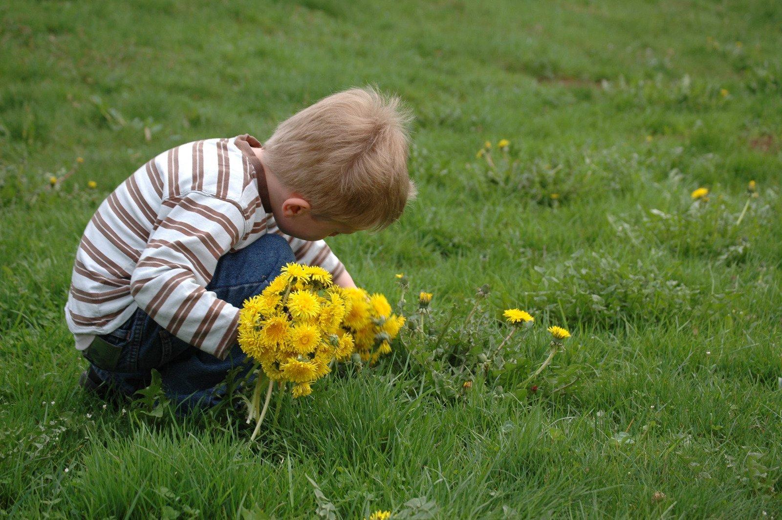 Bild på pojke som plockar blommor